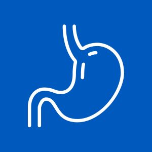 Gastroskopie Icon