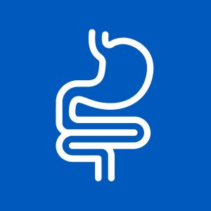 Icon Kombibehandlung Gastro-und Koloskopie