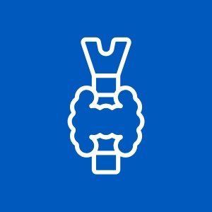 Icon Sonographie Schilddrüse